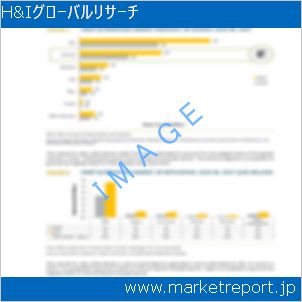 市場と産業調査レポートのイメージ